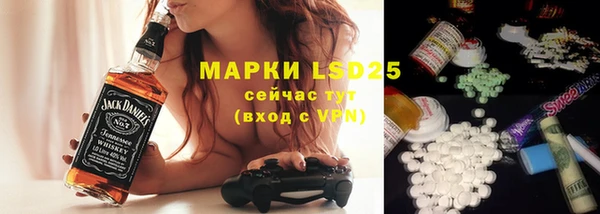 мяу мяу мука Абаза