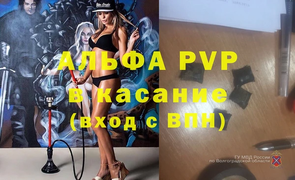 мяу мяу мука Абаза